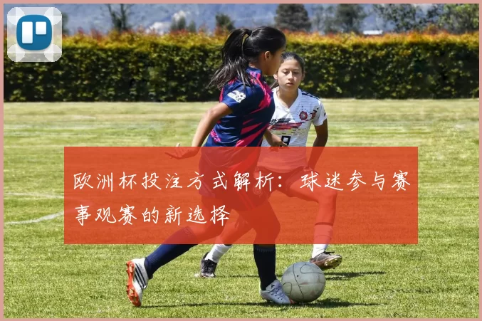 欧洲杯投注方式解析:球迷参与赛事观赛的新选择