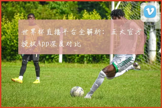 世界杯直播平台全解析：五大官方授权App深度对比