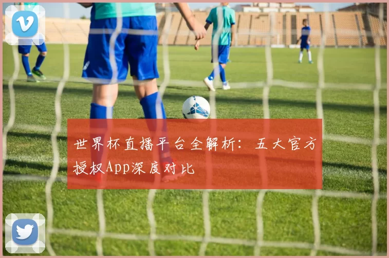 世界杯直播平台全解析：五大官方授权App深度对比