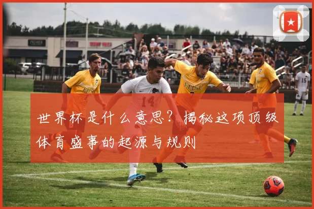 世界杯是什么意思?揭秘这项顶级体育盛事的起源与规则