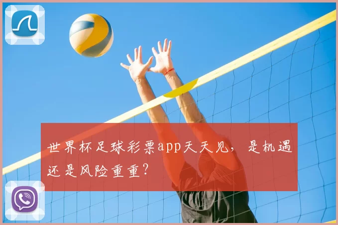 世界杯足球彩票app天天见,是机遇还是风险重重?