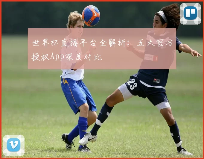 世界杯直播平台全解析:五大官方授权App深度对比