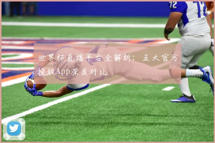 世界杯直播平台全解析:五大官方授权App深度对比