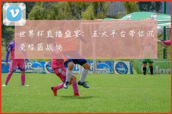 世界杯直播盛宴:五大平台带你沉浸绿茵战场