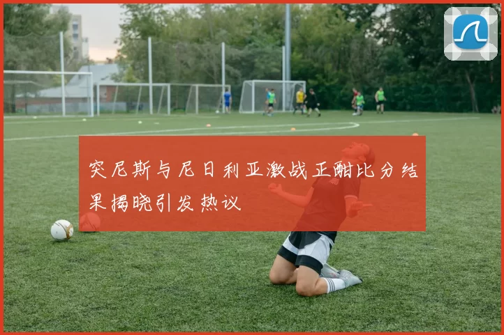 突尼斯与尼日利亚激战正酣比分结果揭晓引发热议