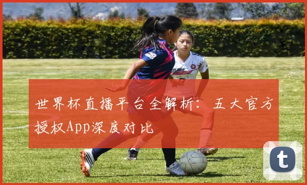 世界杯直播平台全解析:五大官方授权App深度对比