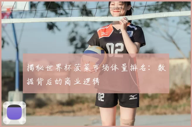 揭秘世界杯菠菜市场体量排名：数据背后的商业逻辑