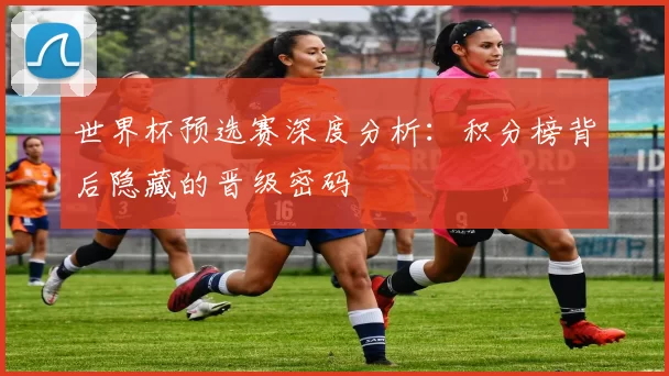 世界杯预选赛深度分析：积分榜背后隐藏的晋级密码