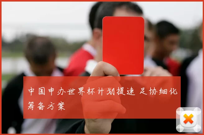中国申办世界杯计划提速 足协细化筹备方案