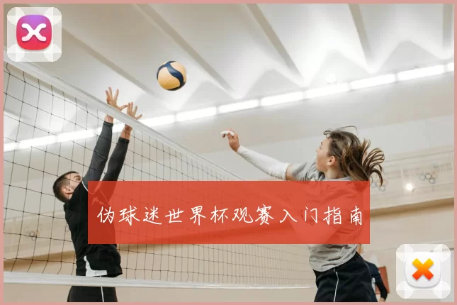 伪球迷世界杯观赛入门指南