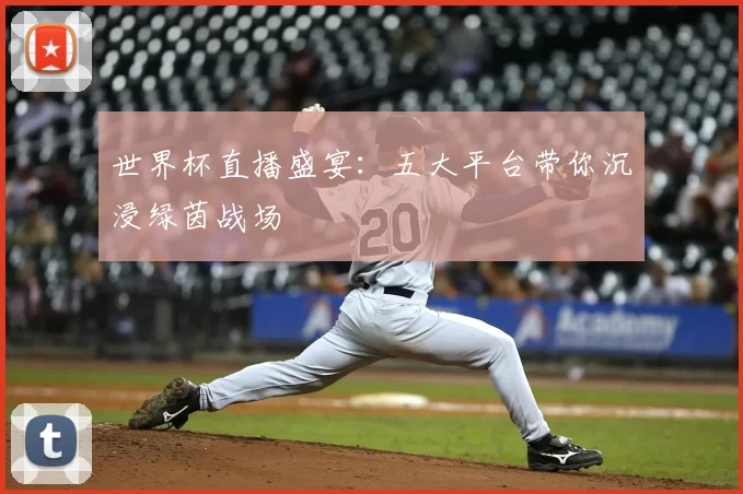 世界杯直播盛宴:五大平台带你沉浸绿茵战场