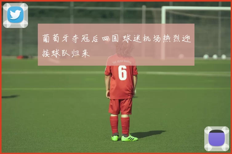 葡萄牙夺冠后回国 球迷机场热烈迎接球队归来