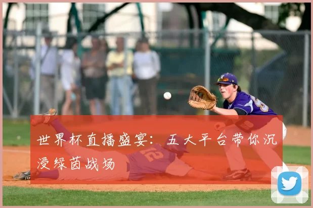 世界杯直播盛宴:五大平台带你沉浸绿茵战场