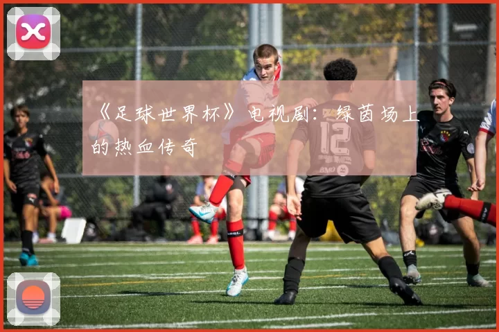 《足球世界杯》电视剧:绿茵场上的热血传奇