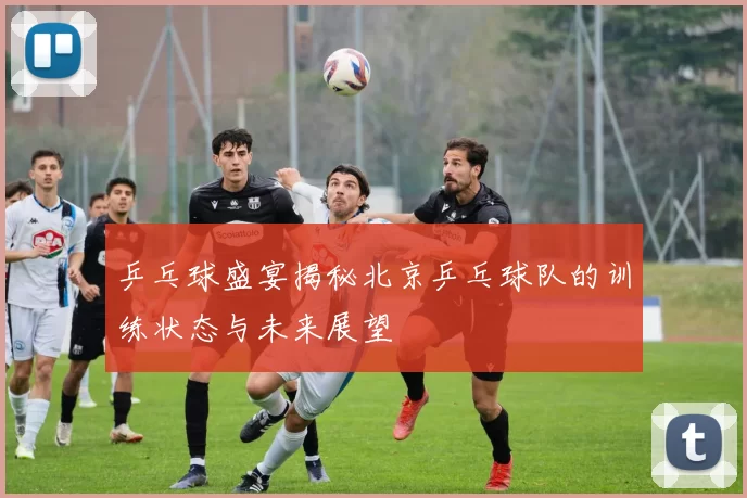 乒乓球盛宴揭秘北京乒乓球队的训练状态与未来展望