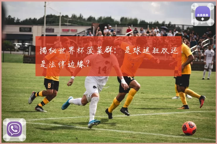 揭秘世界杯菠菜群：是球迷狂欢还是法律边缘？