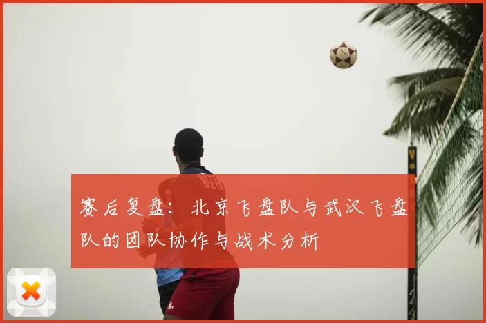 赛后复盘:北京飞盘队与武汉飞盘队的团队协作与战术分析