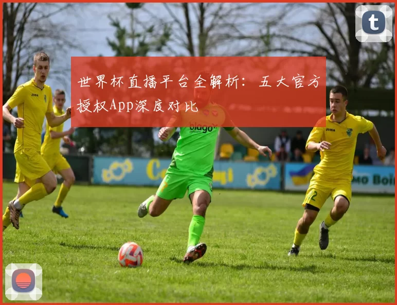 世界杯直播平台全解析：五大官方授权App深度对比