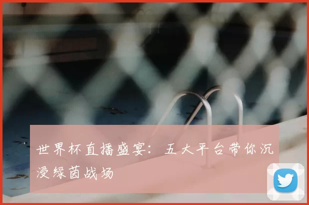 世界杯直播盛宴:五大平台带你沉浸绿茵战场