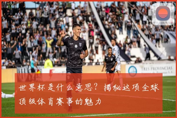 世界杯是什么意思？揭秘这项全球顶级体育赛事的魅力