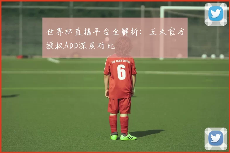 世界杯直播平台全解析:五大官方授权App深度对比