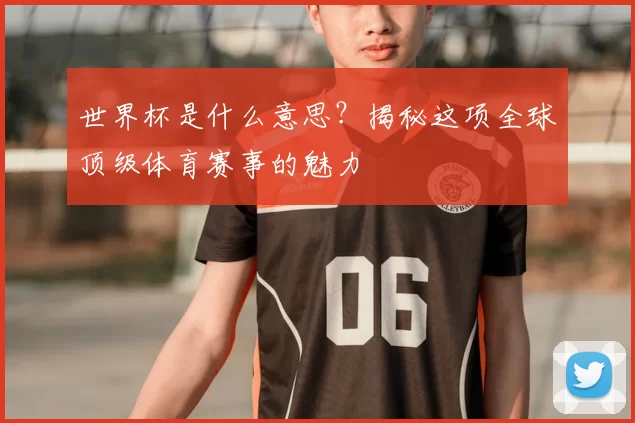 世界杯是什么意思?揭秘这项全球顶级体育赛事的魅力