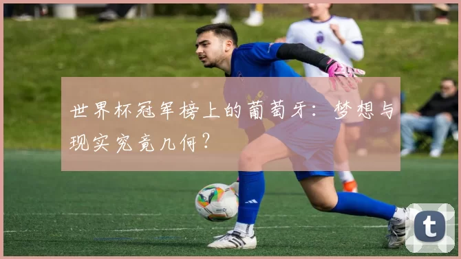 世界杯冠军榜上的葡萄牙:梦想与现实究竟几何?