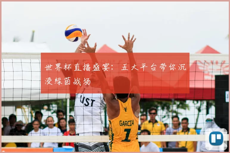 世界杯直播盛宴:五大平台带你沉浸绿茵战场
