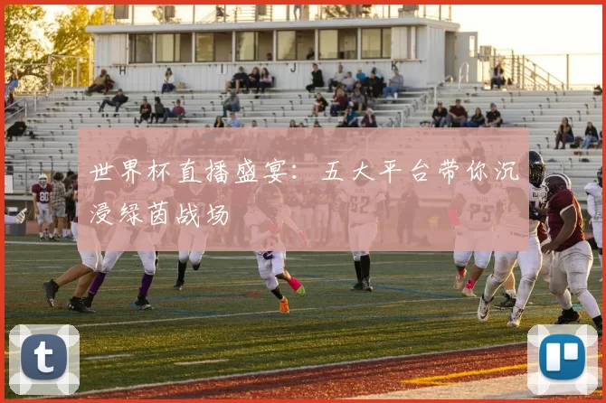 世界杯直播盛宴:五大平台带你沉浸绿茵战场