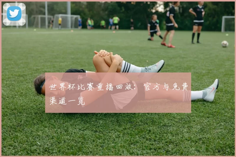 世界杯比赛重播回放:官方与免费渠道一览