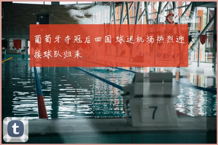 葡萄牙夺冠后回国 球迷机场热烈迎接球队归来