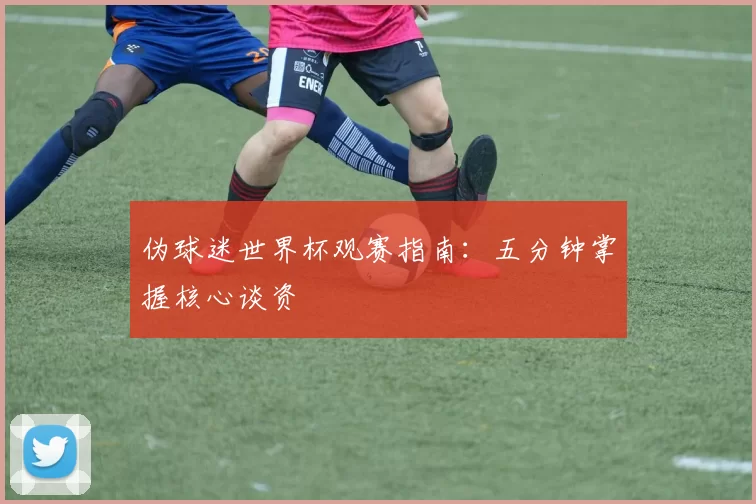 伪球迷世界杯观赛指南:五分钟掌握核心谈资