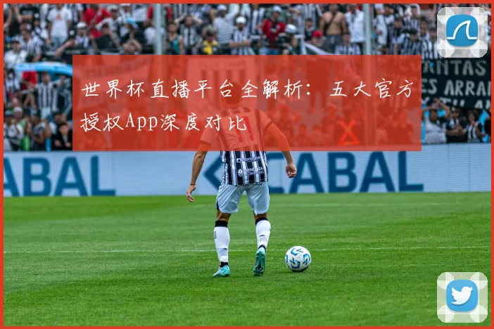 世界杯直播平台全解析:五大官方授权App深度对比