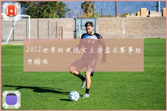 2012世界杯央视女主持盘点赛事经典瞬间
