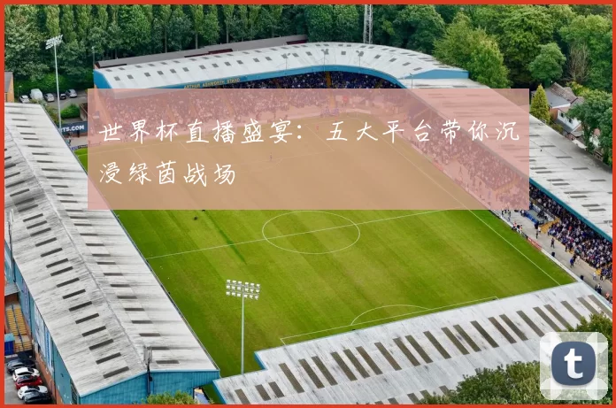 世界杯直播盛宴:五大平台带你沉浸绿茵战场